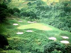 rgcc